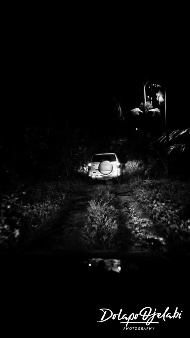 Pathways study 02